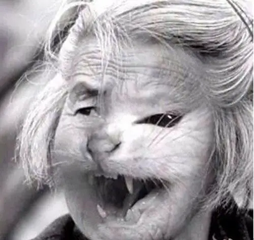 猫脸老太太事件