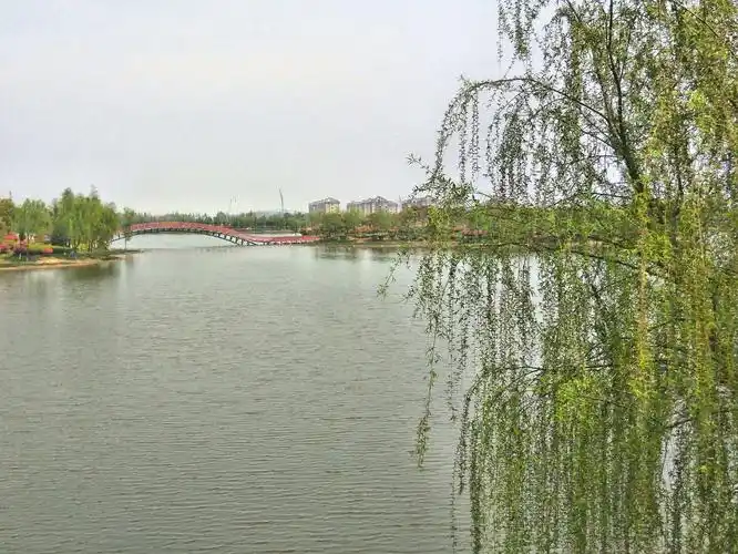 江苏省盐城市阜宁县新兴路靠近益林规划展览馆