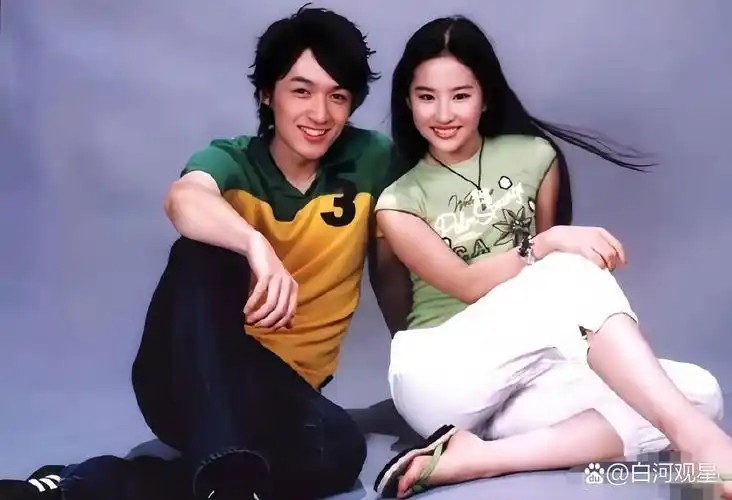 17岁的刘亦菲,宛如从古画中走出的仙女,清纯灵动,仙气飘飘