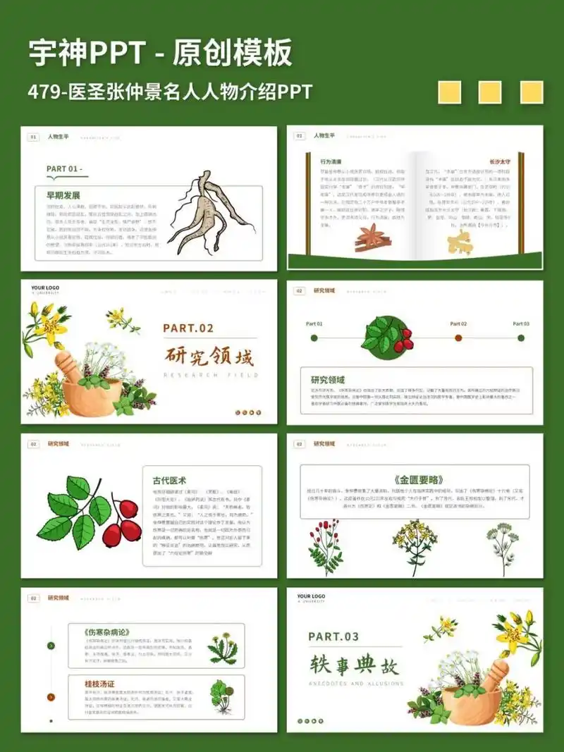 医圣张仲景名人人物介绍ppt 原创ppt模板,插画风图文