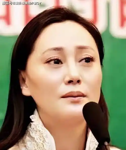 大宋佳:前夫大她21岁,46岁生二胎,55岁却再婚嫁比利时富商_学津_演艺