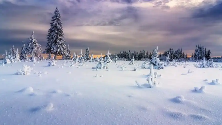 唯美冬季雪景风光桌面壁纸-风景壁纸-壁纸下载-美桌网