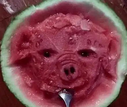 笑死不偿命的搞笑图片奇葩十足越看越开心