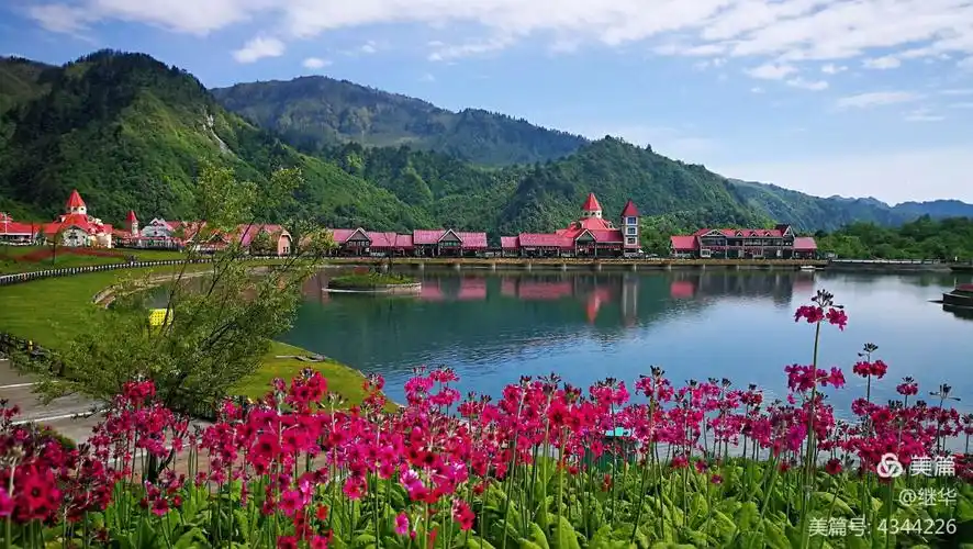 蓝天白云,晴空万里,青山绿水间鲜花盛开