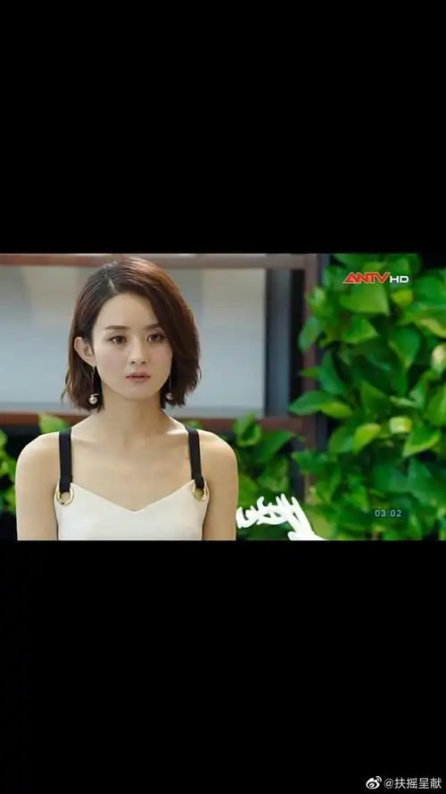 赵丽颖主演的电视剧你和我的倾成时光登陆越南电视台在腾讯视频播放