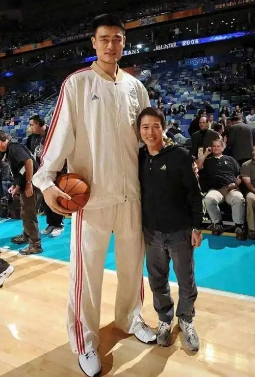 综上所述,姚明和李连杰的合影瞬间呈现出不同领域,不同身高的人之间的