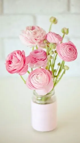 清新高清竖屏壁纸