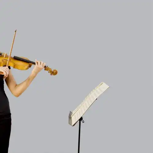 仅一个人,握,灰色背景,服装,乐谱,乐器,五线谱,弦乐器,小提琴,音乐,拿