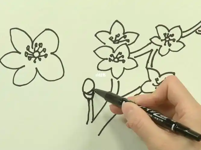 简笔画教你画梅花