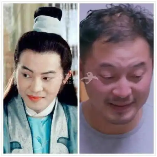 姚晨调侃沙溢"变圆":自律与不自律,过的是不一样的人生