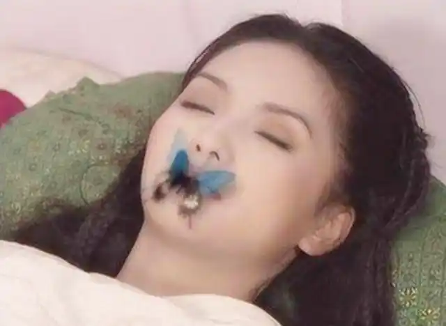 乾隆最宠爱的女人死后棺材被人砍了一个大洞只剩下了一个辫子