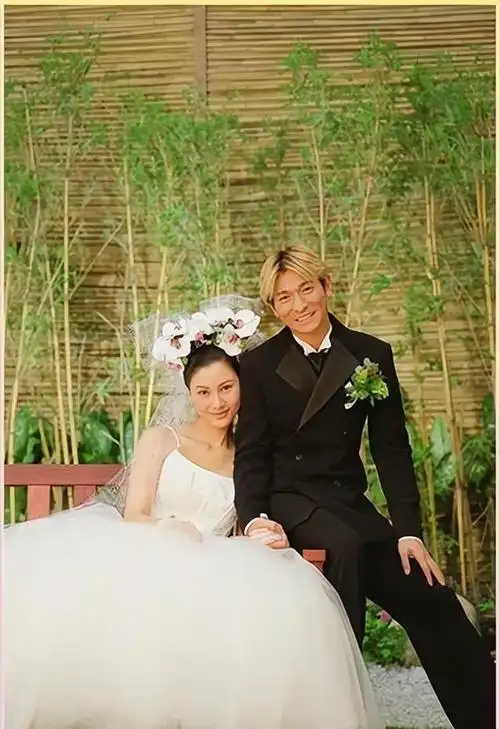 回顾 她陪伴刘德华26年,眼睁睁看着他娶了别的女人