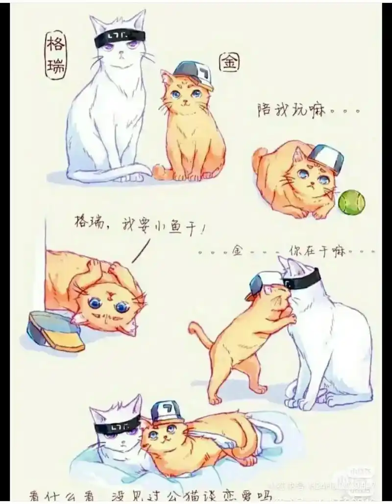 瑞金cp猫化.#凹凸世界 #七创社 #禁止ky #图片来自网 - 抖音