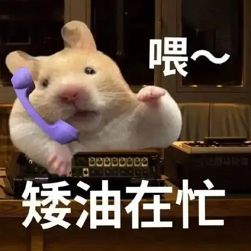 斗图新玩法,用表情包?