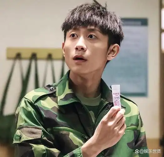 随着年龄增长,张一山出演的角色逐渐都带有了"刘星"的痕迹.