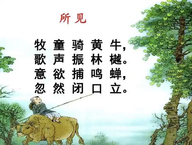 市北区城投实验幼儿园小三班第十四周精彩瞬间