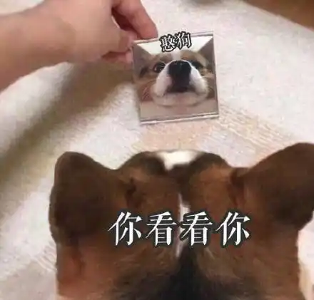 你看看表情包 - 你看看微信表情包 - 你看看qq表情包 - 发表情