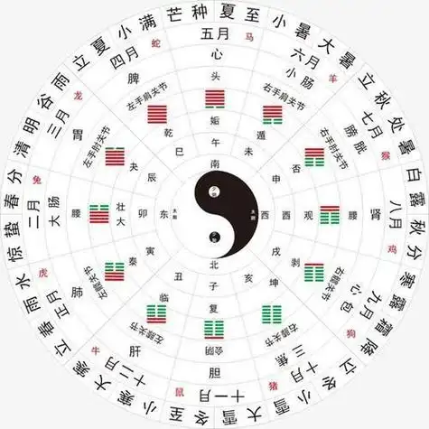 古代一天分为12个时辰,以地支纪位:即十二生肖中的子,丑,寅,卯,辰,巳