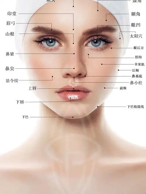 可剥离部位,全脸区分为29个部位