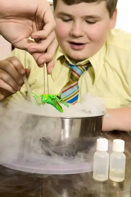 欧洲,欧洲人,握,沸腾,金属,蒸汽,昆虫,螳螂,锅子,镊子,领带,水蒸气,拿