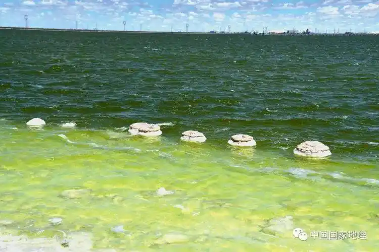 湿地,不止是诗意的栖息地_武汉_湖泊_中国