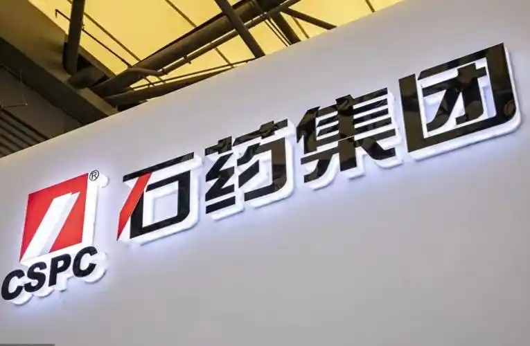 人生颇具传奇色彩的蔡东晨,将把石药集团带向何方?__财经头条