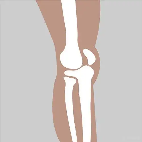 膝盖_关节_侧面视角_高清图片_全景视觉