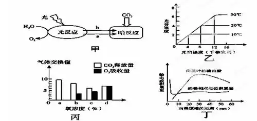 (1)图甲中光反应的场所是 .