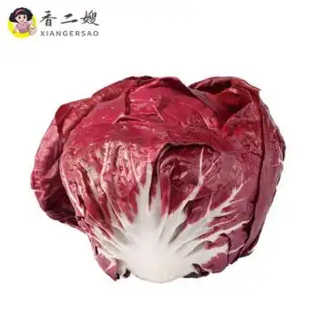 新鲜红菊苣落地球生菜红包菜洗切即食健身沙拉蔬菜1000g
