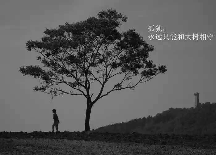 类似这种的孤独图片