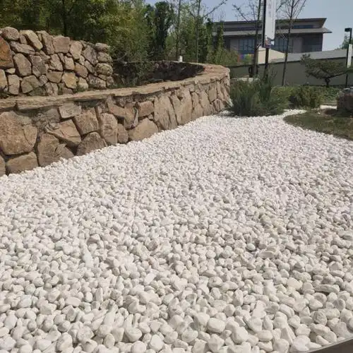亿润园林白色鹅卵石 机制白鹅卵石价格 园艺室内装饰白色鹅卵石