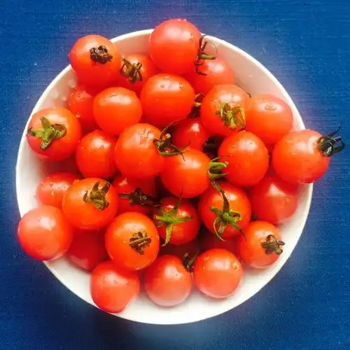 偶然的旅行做的圣女果摆盘