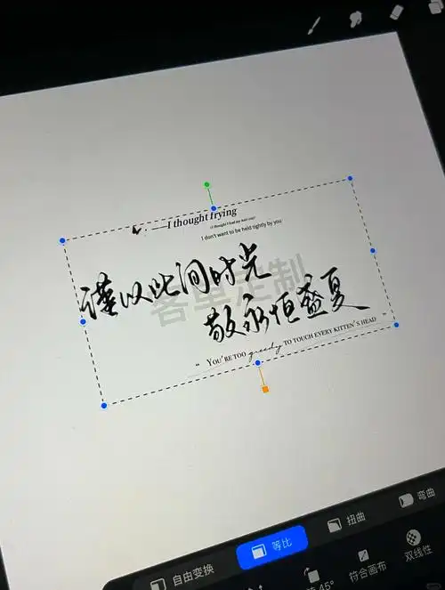 简约至极:白底黑字的魅力