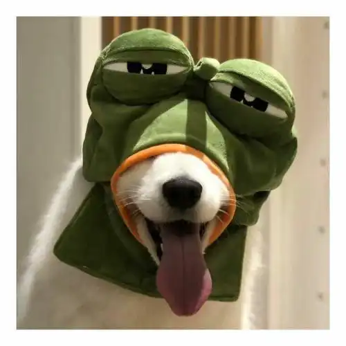 有哪些沙雕头像推荐