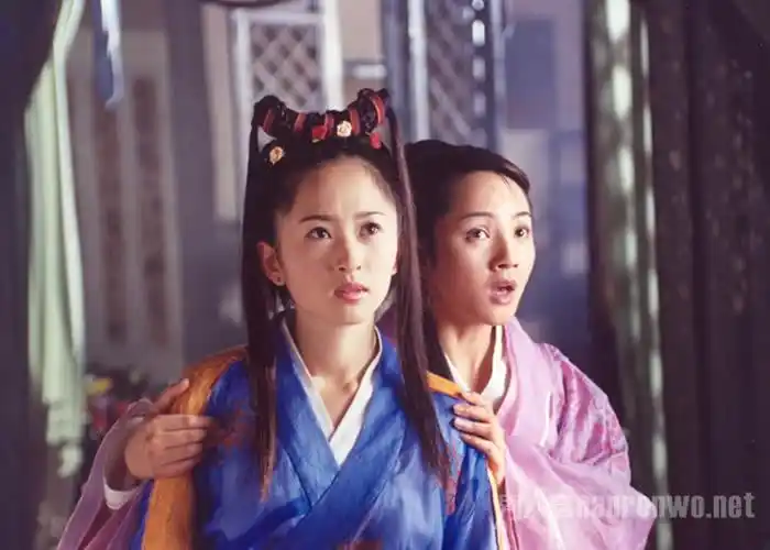 天龙八部 杨蕊 饰 钟灵 阮丹宁 饰 甘宝宝