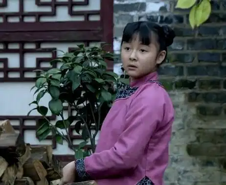 的好看,里面有不少老戏骨,有了老戏骨当然还有小演员了,杨丽晓就是