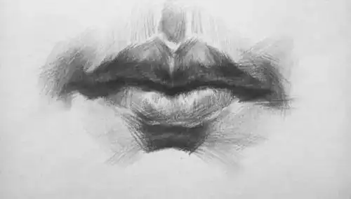 (733)素描五官嘴巴(1)素描嘴巴(1)(发布时间:2022-02-13来源:未知作者