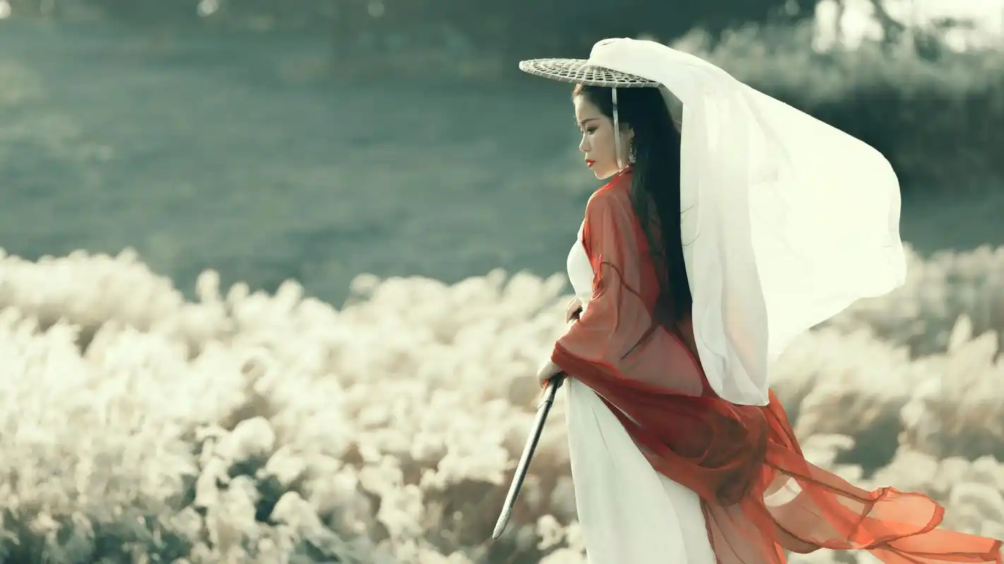 依风飘四海,仗剑走天涯.我的心中也有一个英雄梦,特别是仗剑 - 抖音