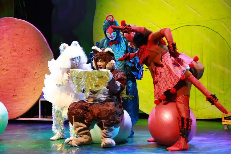 新京报小记者探班儿童剧体育场的流浪猫王它不幼稚