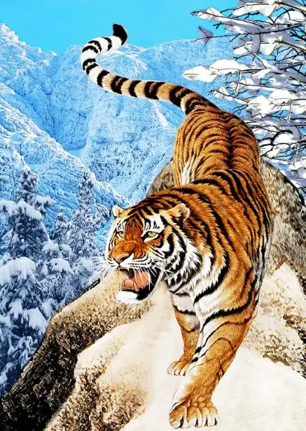 裸眼3d画 全景奇画 3d全景奇画