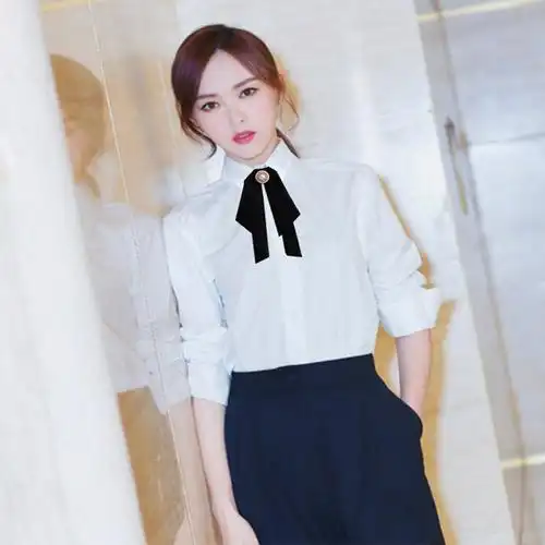 艳如飞赵丽颖明星同款时尚ol职业装工装棉液氨免烫衬衫女长袖大码女装