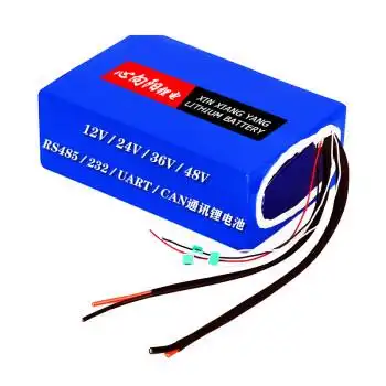 24v48伏agv小车机器人牵引车三元铁锂电池带通讯24v32ah进口松下三元