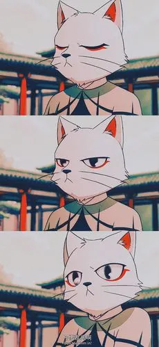 李饼壁纸图 猫爷我可以!