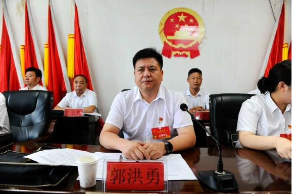 韶华不负亮实绩初心不移战新程庙口镇顺利召开第三