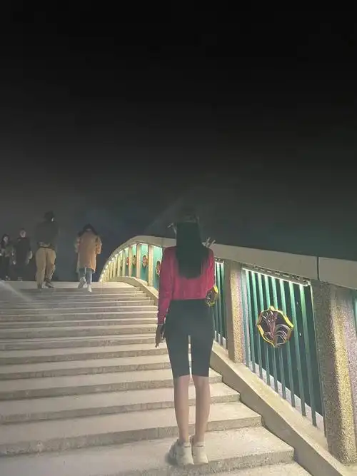 夏天我想拥有马甲线