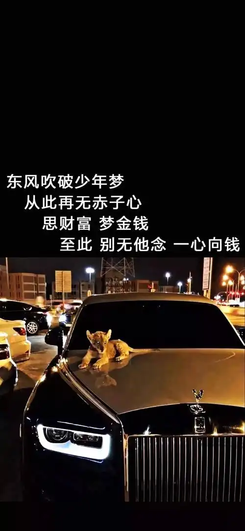 抖音热门壁纸好看到你招架不住随口拒绝讨厌鬼认真答应心上人