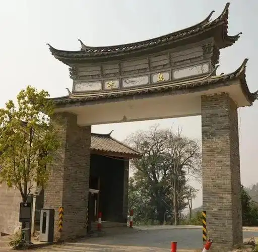 2023年庆承号春茶行临沧篇冰岛五寨之老寨被誉为普洱茶皇后