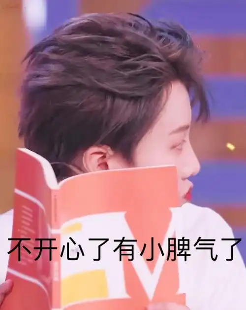 伞伞们手中有多少刘雨昕的表情包