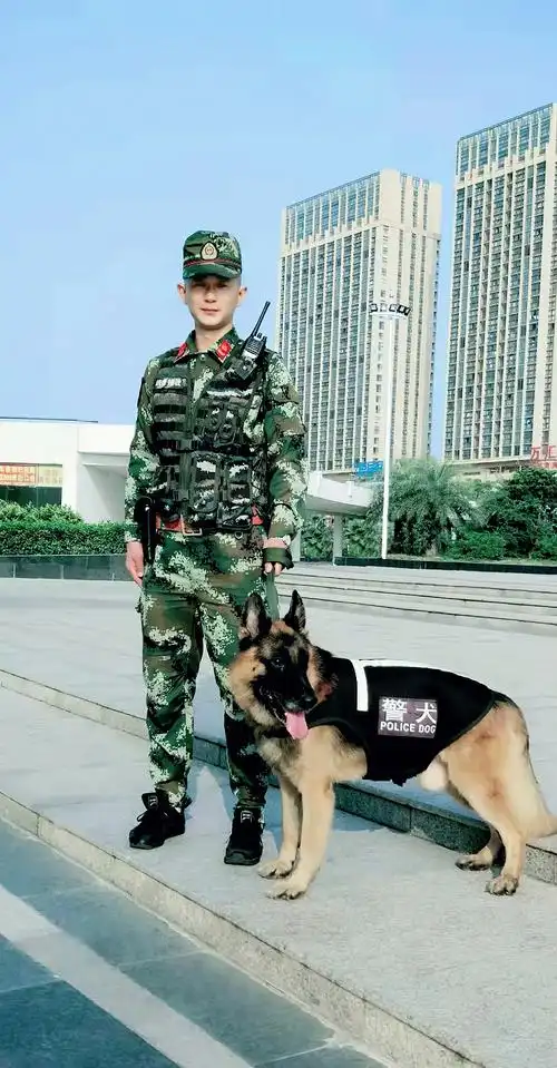 中国武警徒手搏击名将赵山传奇故事