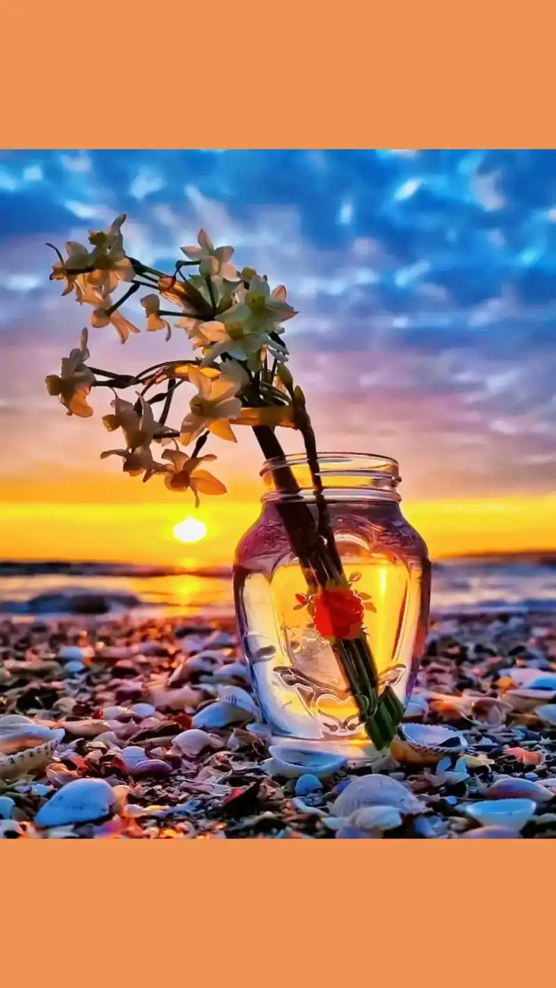 简单的心境 #唯美意境 #就算无人欣赏也要独自芬芳 #心存 - 抖音